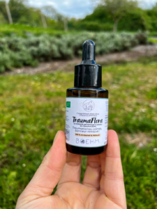 TraumaFlora - Le Traumacédyl BIO & Français