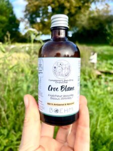 Croc Blanc BIO - Soin Naturel de la Bouche & Haleine
