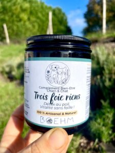 Trois Foie Reins - Détox Naturelle