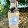 Belle Flore - Poudre intestinale naturelle pour équins
